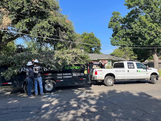 Oscar's Tree Service Team at Work