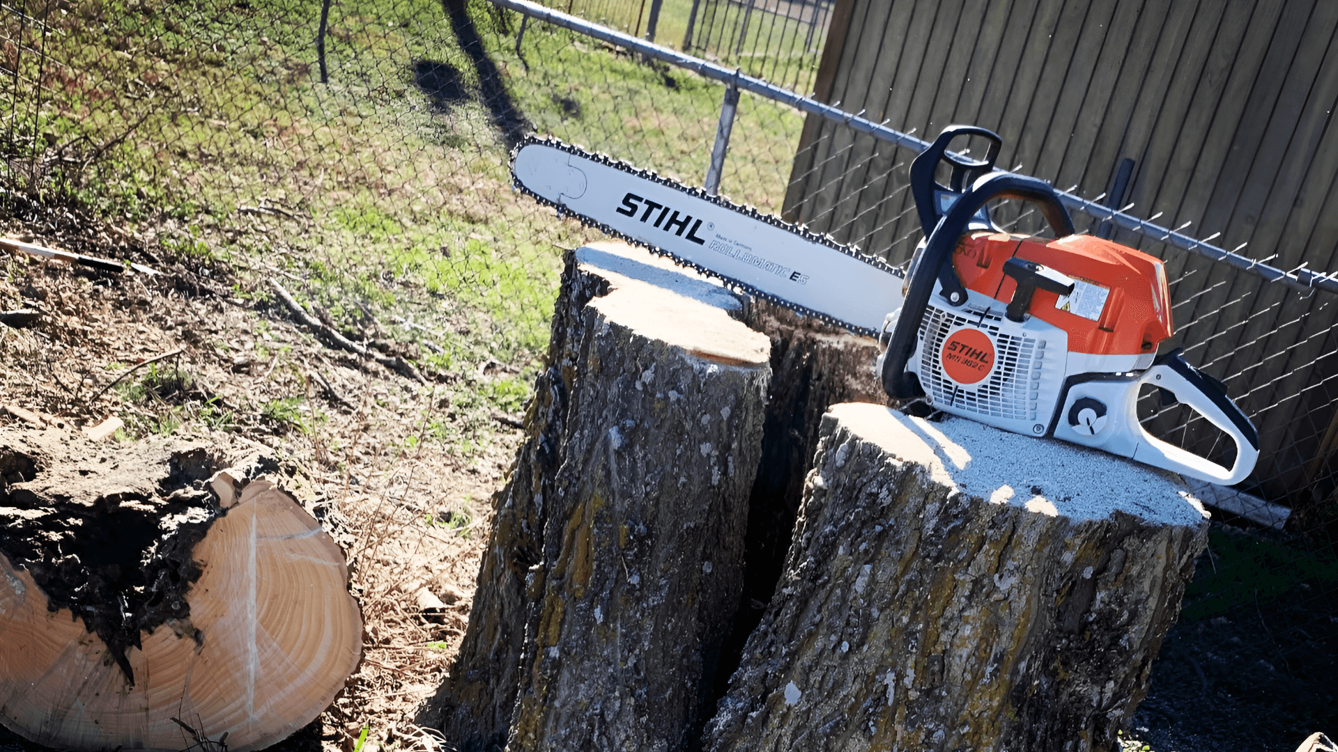 Oscar's Tree Service Hero Background