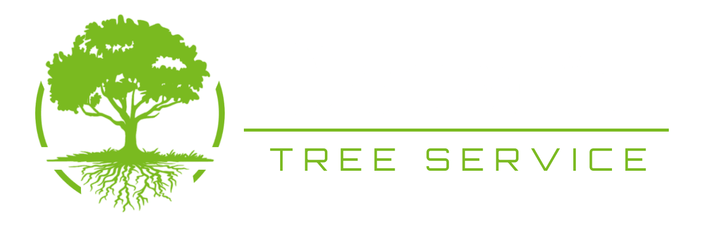 Logo Banner Transparent