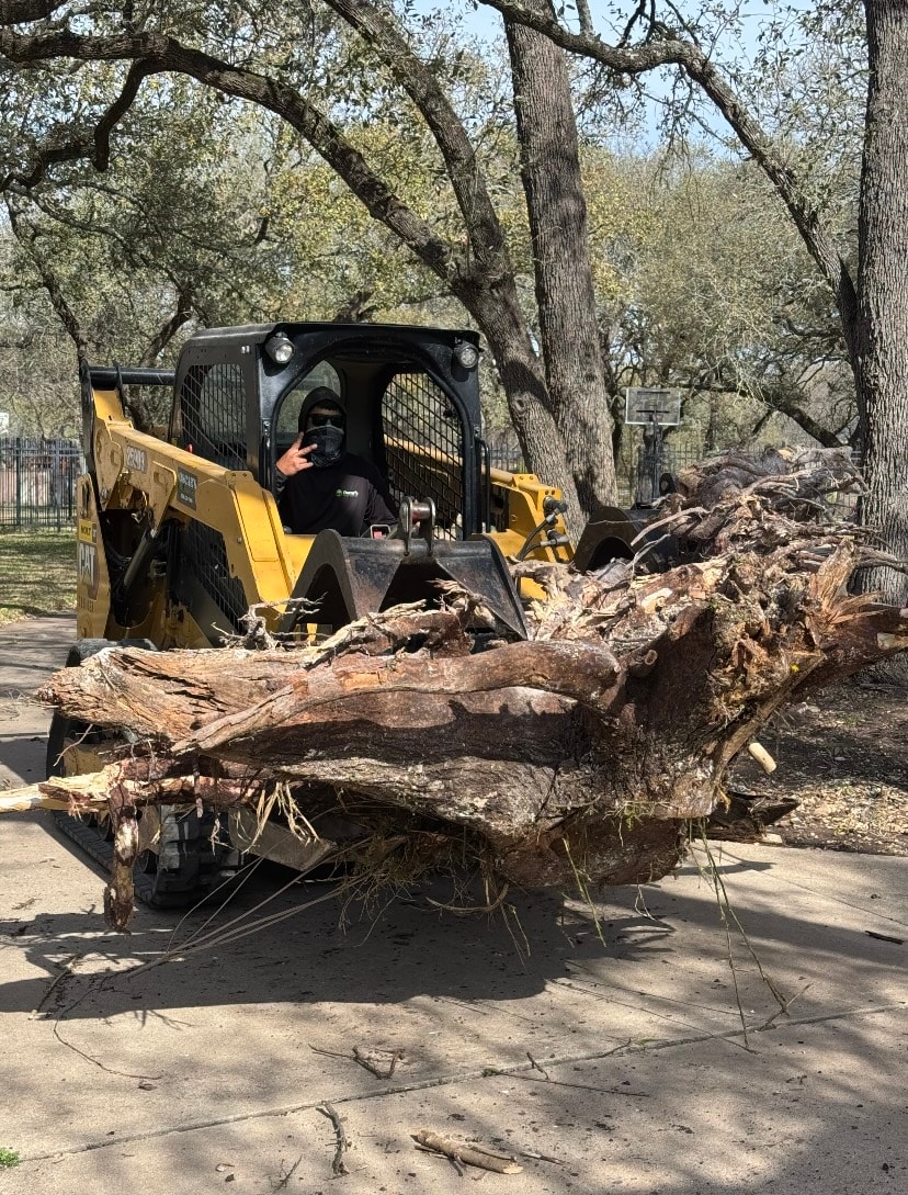 Emergency Tree Services service