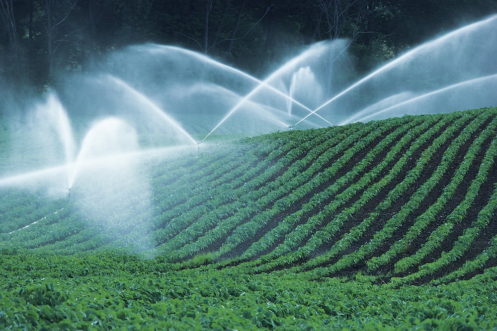 Irrigation Services service