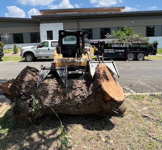 Stump Grinding service